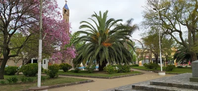 San Andres de Giles - Photo 4