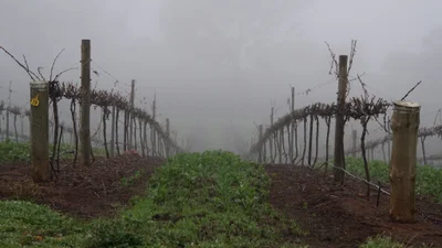 Watervale - Photo 3