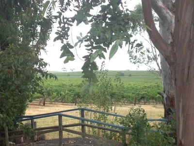 Watervale - Photo 4