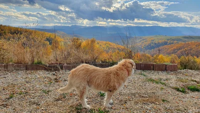 Western Romania - Photo 4