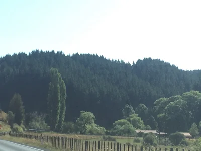 Ongarue - Photo 2