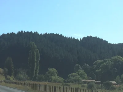 Ongarue - Photo 3