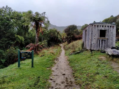 Pureora Forest Park - Photo 4