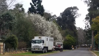 Nannup - Photo 5