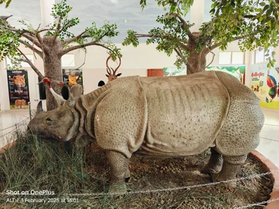 Dudhwa National Park - Photo 2