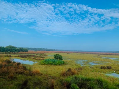 Dudhwa National Park - Photo 3
