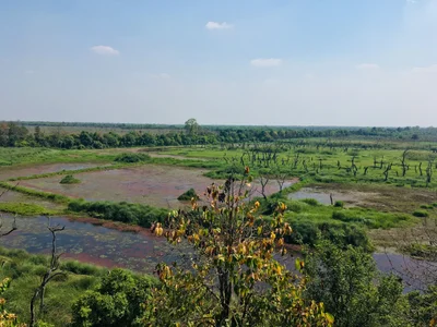 Dudhwa National Park - Photo 5