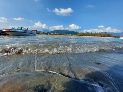 Narayani Zone - Photo 4