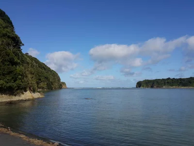 Tongaporutu - Photo 2