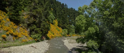 Burkes Pass - Photo 5