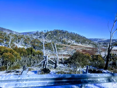 Kosciuszko National Park - Photo 2