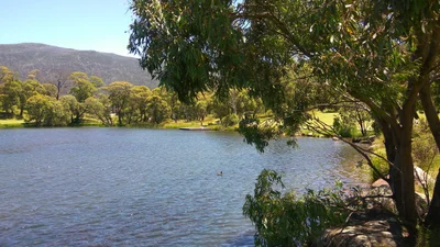 Crackenback - Photo 3