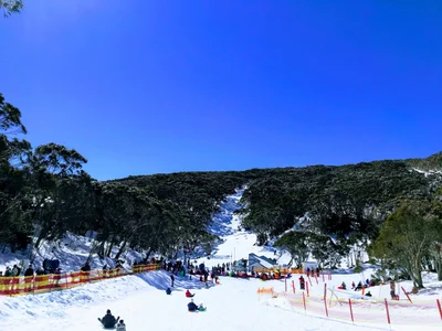 Mount Baw Baw - Photo 2