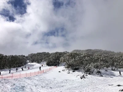Mount Baw Baw - Photo 5