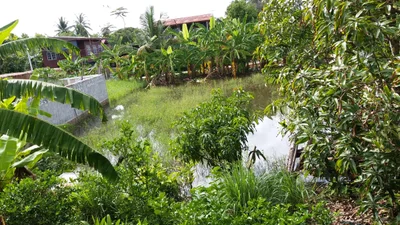 Si Samrong - Photo 2