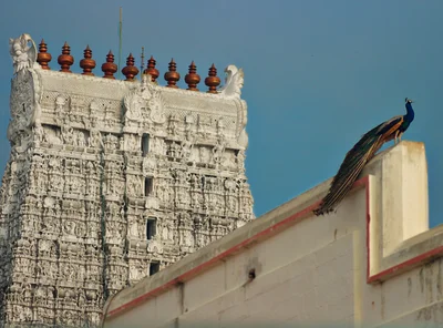 Thiruchendur - Photo 2