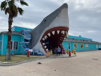Port Aransas - Photo 3