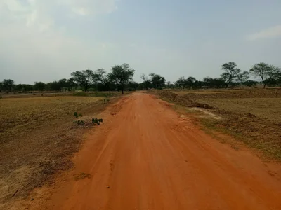 Darima - Photo 3