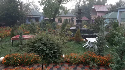 Zaqatala - Photo 2