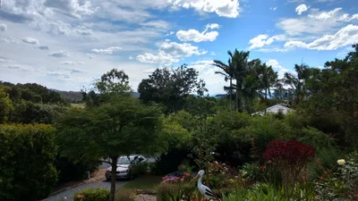 Bellingen - Photo 2