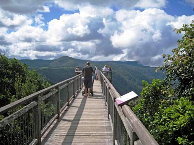 Bellingen - Photo 4