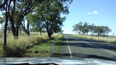 Jondaryan - Photo 4