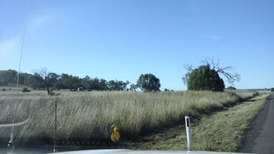 Jondaryan - Photo 5