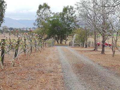Woodford - Photo 2