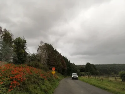 Wicklow - Photo 2
