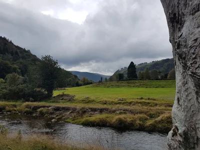 Wicklow - Photo 3