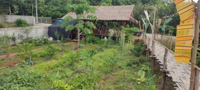 Mae Tha District - Photo 5