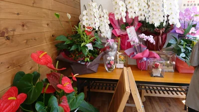 Sakuragawa - Photo 2