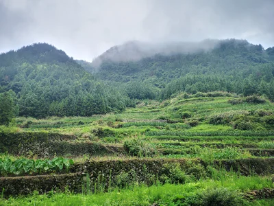 Xianju County - Photo 2