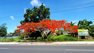 Dededo - Photo 5