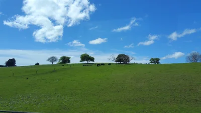 Otorohanga - Photo 2