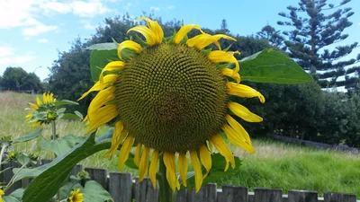 Otorohanga - Photo 5