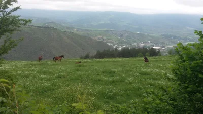 Kapan - Photo 4