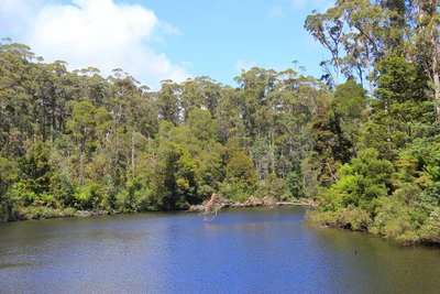 Arthur River - Photo 2