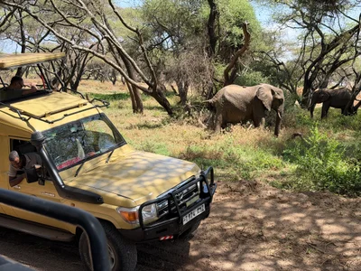 Lake Manyara National Park - Photo 3