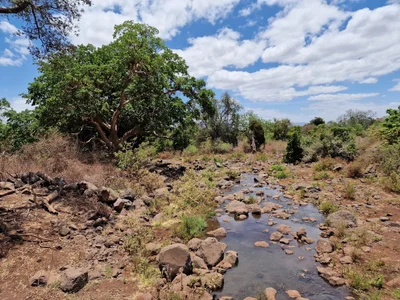 Lake Manyara National Park - Photo 5