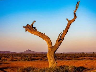 Flinders Ranges - Photo 5