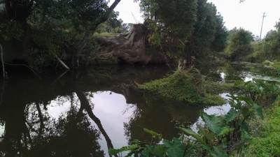 Stokers Siding - Photo 3