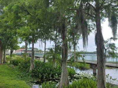 Eustis - Photo 3