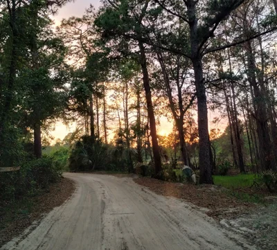 Eustis - Photo 4