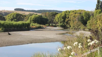 Te Awanga - Photo 3