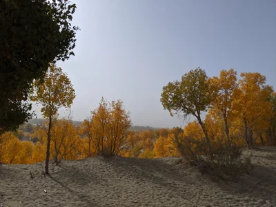 Hotan - Photo 4