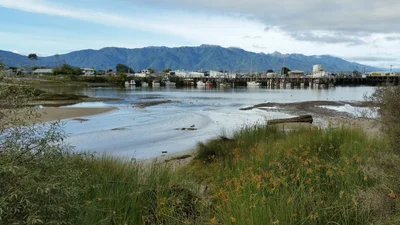 Westport - Photo 4