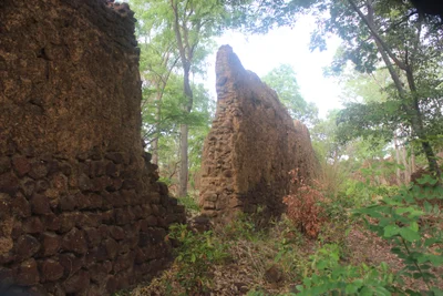 Loropeni - Photo 2