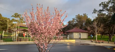 Kojonup - Photo 4