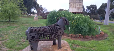 Kojonup - Photo 5
